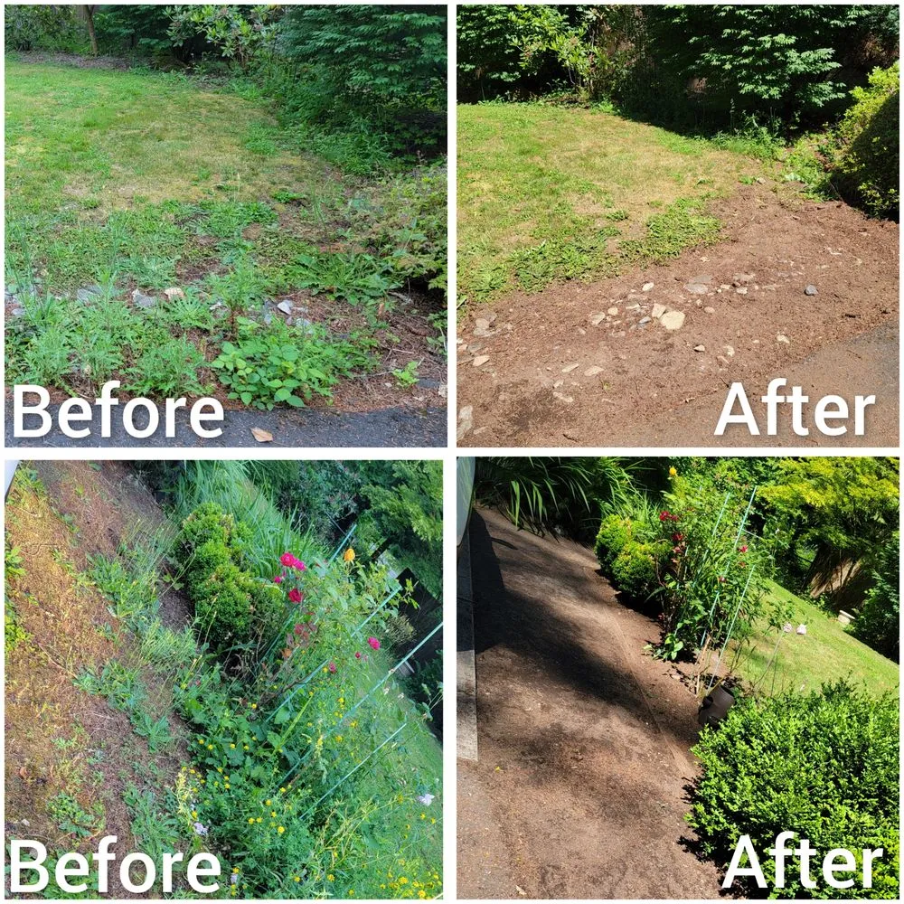 Affordable landscape design in Battle Ground, WA - Summer's Home & Lawn Care