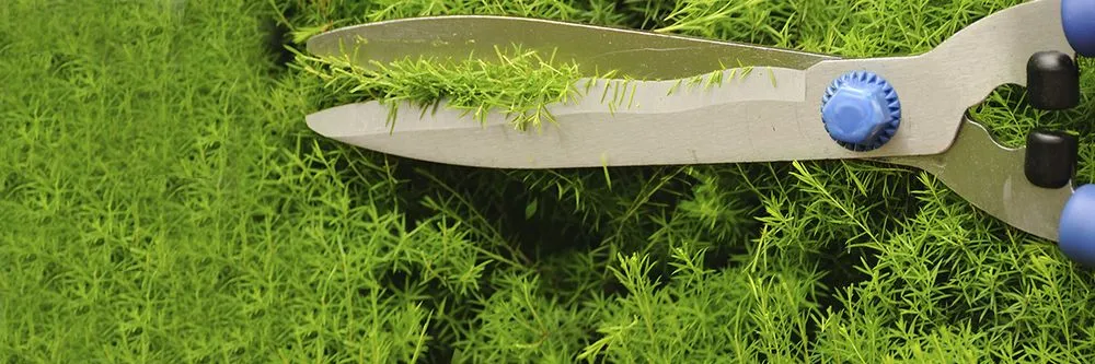 Top-rated yard cleanup service in Waterford, MI by Summers Irrigation