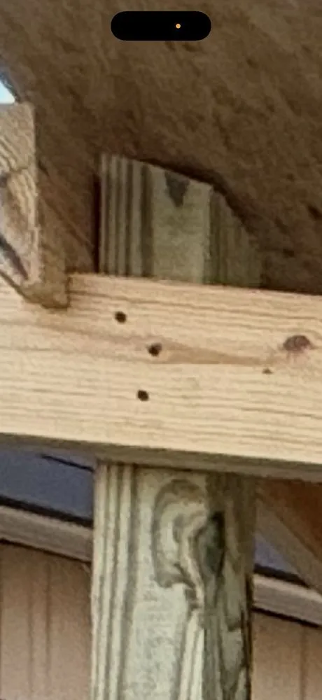 Local yard cleanup service for residential properties in Clemson, SC by Summers Land Solutions