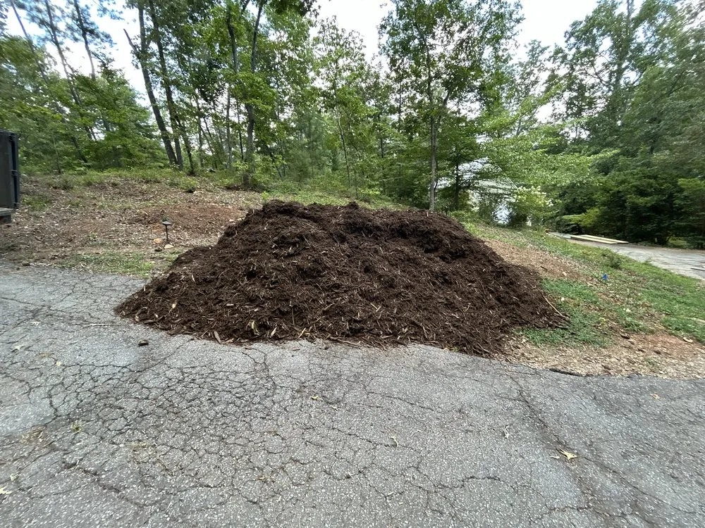 Expert outdoor landscaping for beautiful yards in Clemson, SC by Summers Land Solutions