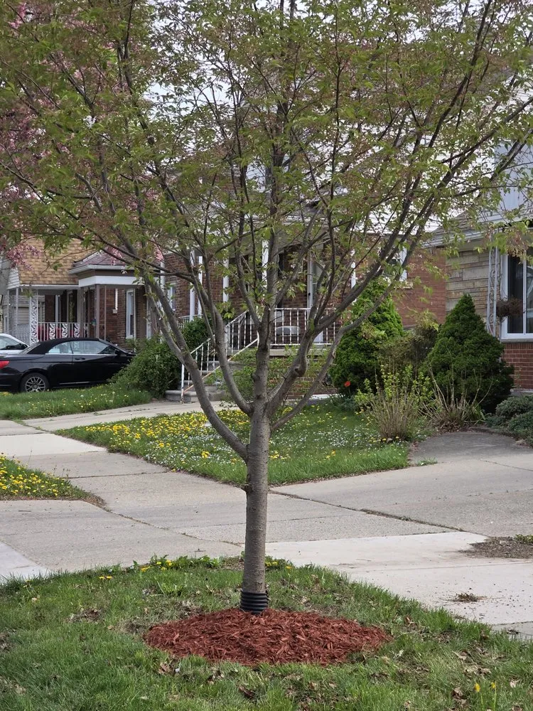 Affordable lawn mowing service for outdoor upgrades across Dearborn, MI - Summer's Landscaping & More