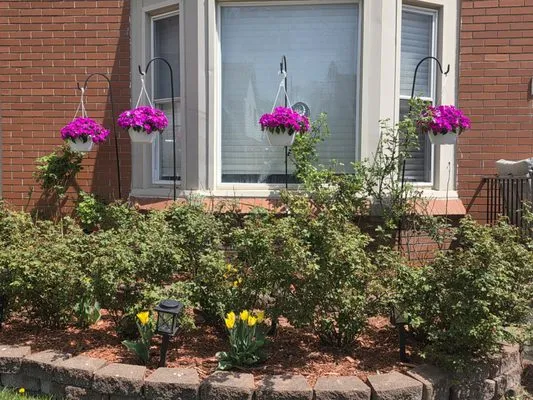 Summer's Landscaping & More