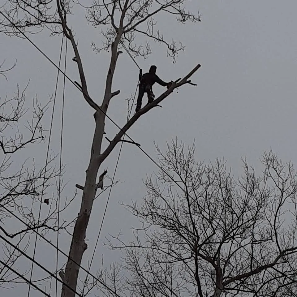 Custom landscape installation for residential properties in Eureka, MO by Summers Landscaping & Tree Service