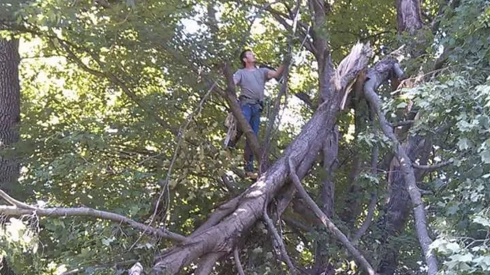 Local lawn care service for year-round maintenance across Eureka, MO - Summers Landscaping & Tree Service