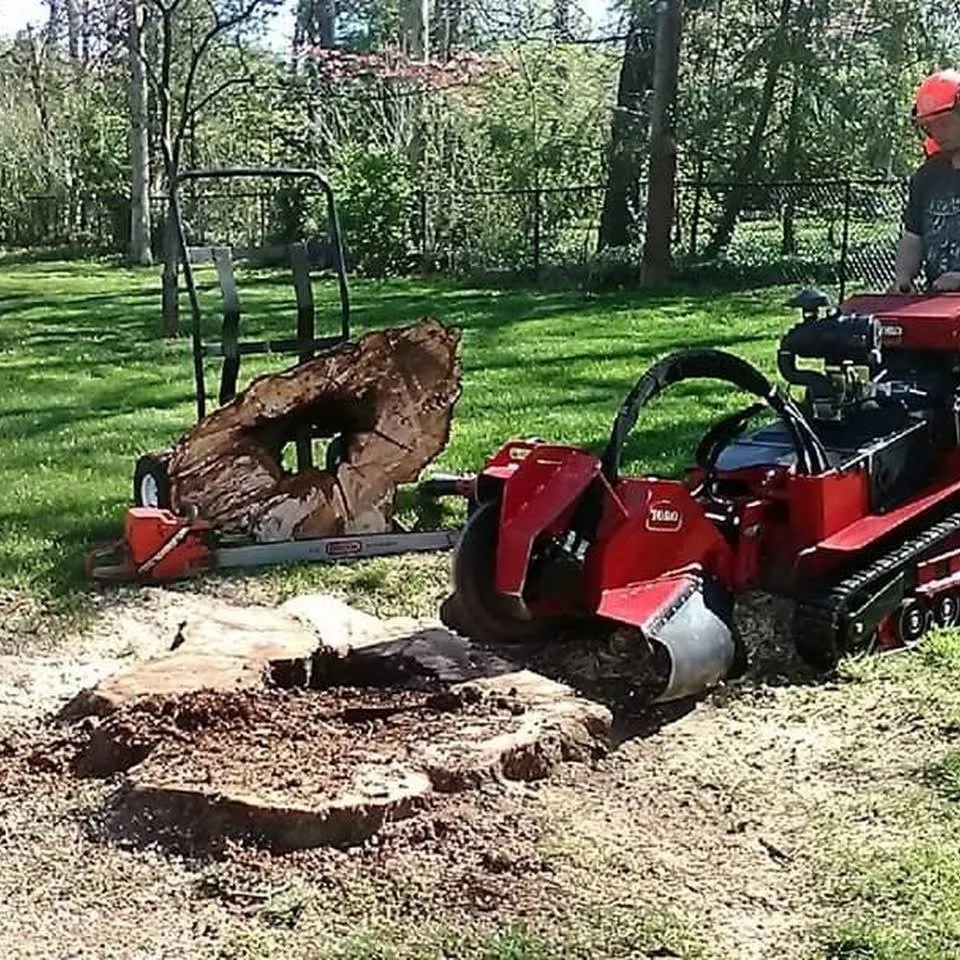 Expert yard cleanup service in Eureka, MO - Summers Landscaping & Tree Service