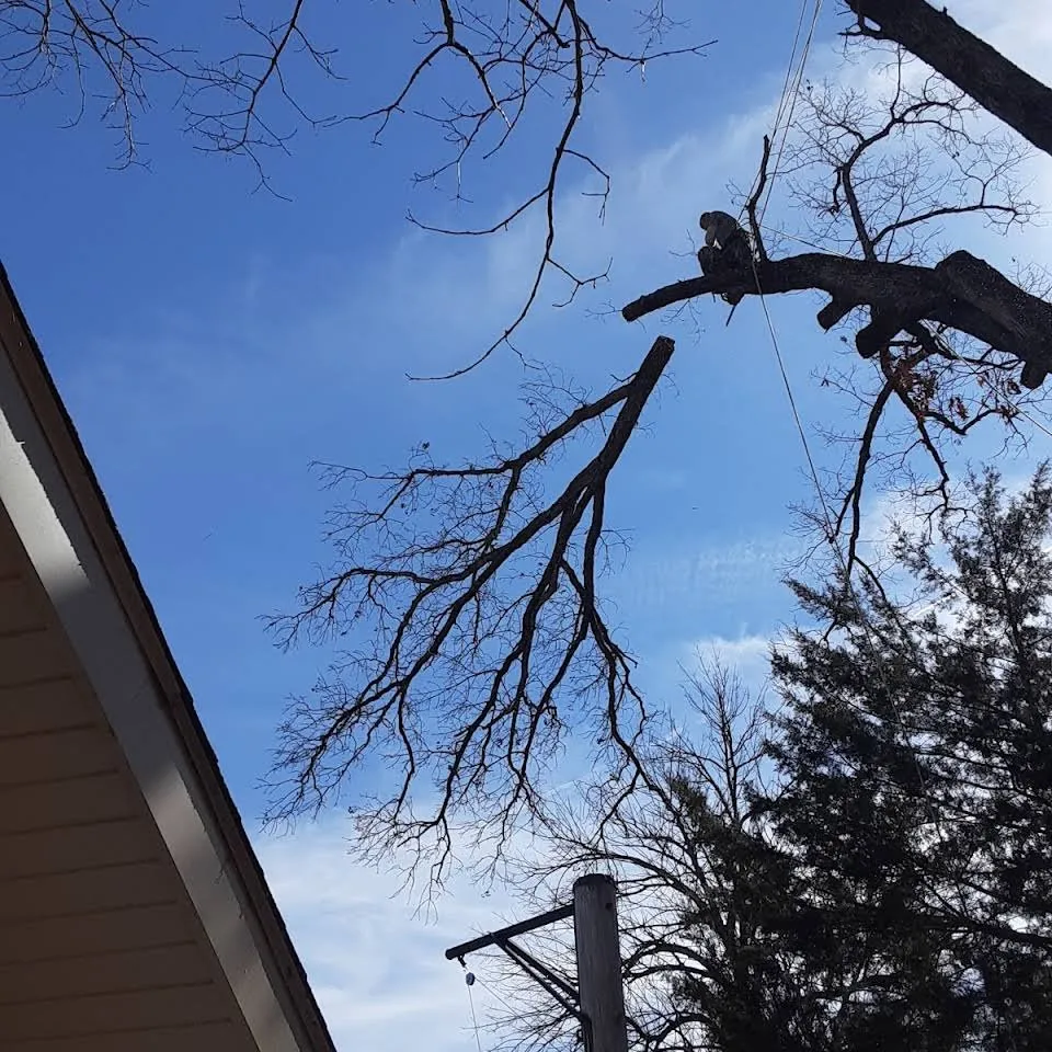 Custom landscaping services in Eureka, MO by Summers Landscaping & Tree Service