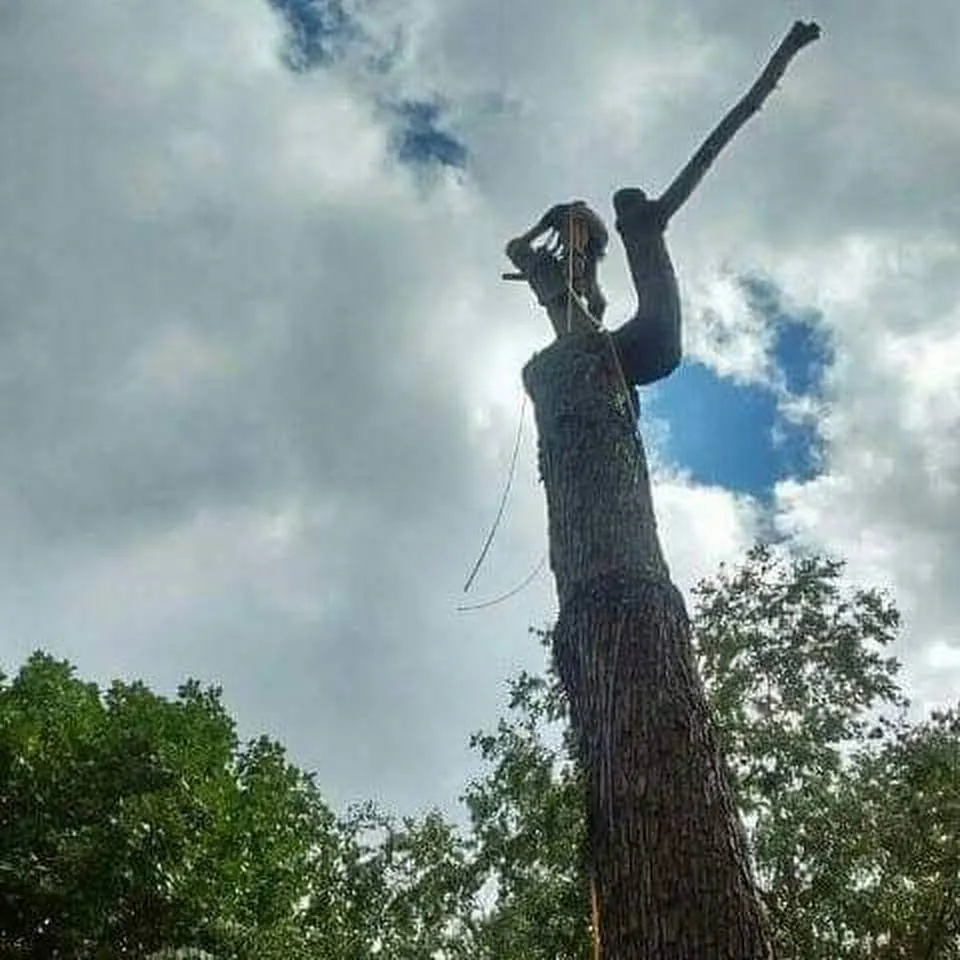 Affordable garden landscaping for homes across Eureka, MO - Summers Landscaping & Tree Service