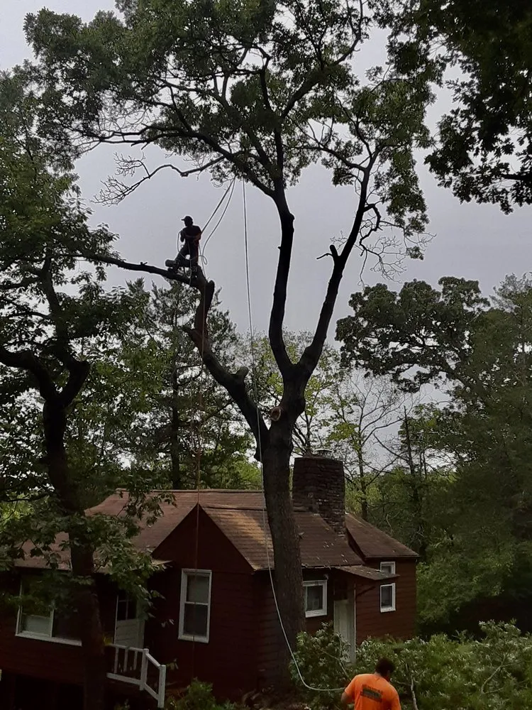 Custom lawn mowing service for beautiful yards across Eureka, MO - Summers Landscaping & Tree Service