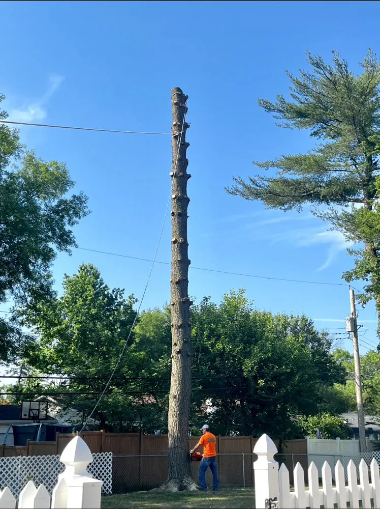 Expert outdoor landscaping in Eureka, MO by Summers Landscaping & Tree Service