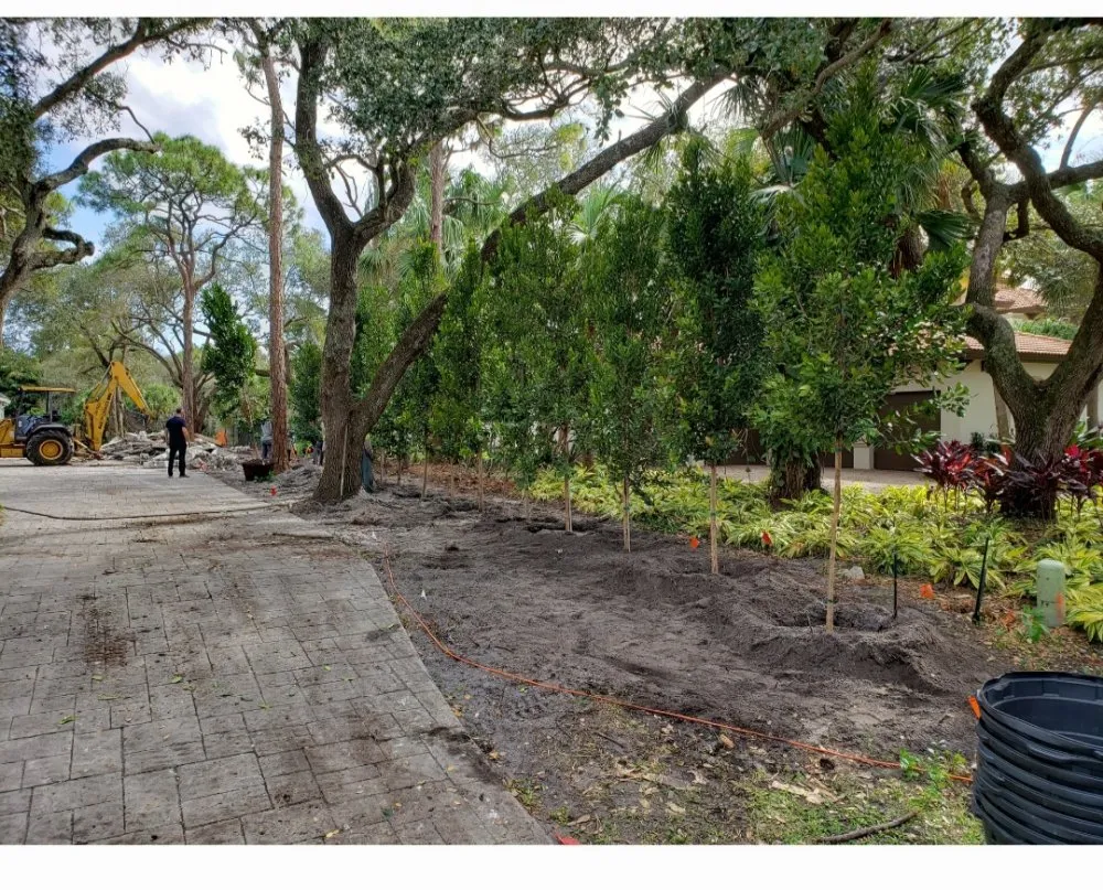 Local yard cleanup service experts serving Cutler Bay, FL - Summers Landscaping