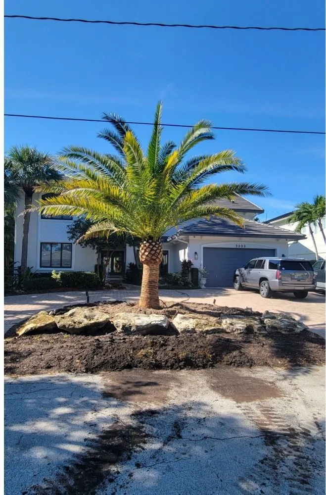 Top-rated lawn mowing service in Cutler Bay, FL by Summers Landscaping