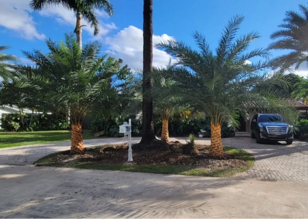 Professional garden landscaping in Cutler Bay, FL by Summers Landscaping