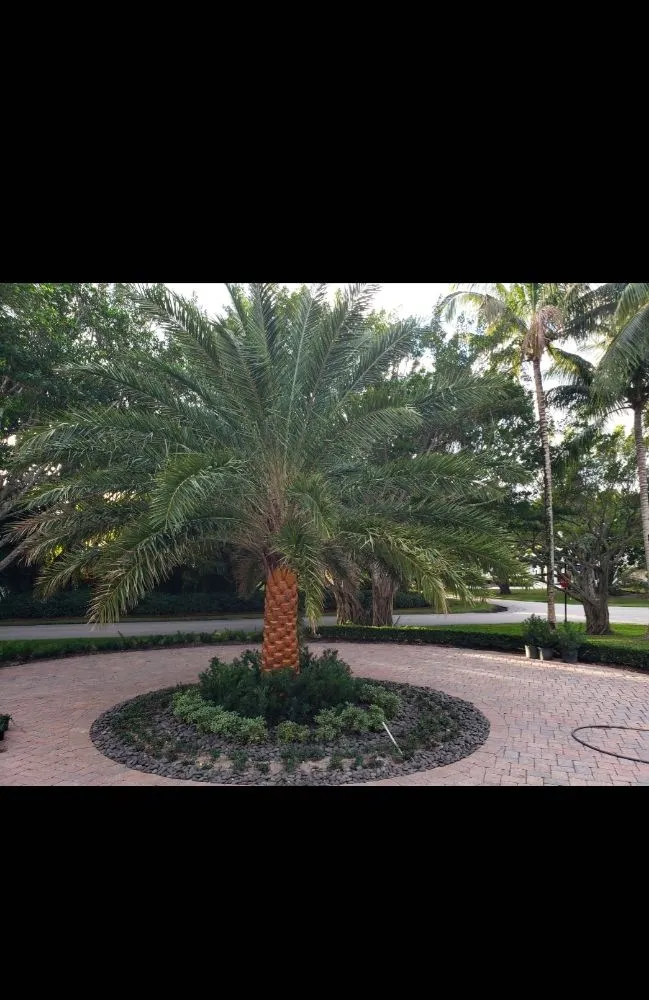 Expert residential landscaping in Cutler Bay, FL by Summers Landscaping
