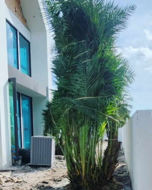 Affordable lawn care service experts serving Cutler Bay, FL - Summers Landscaping