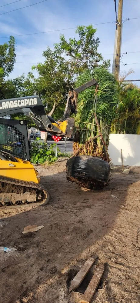 Local yard cleanup service experts serving Cutler Bay, FL - Summers Landscaping