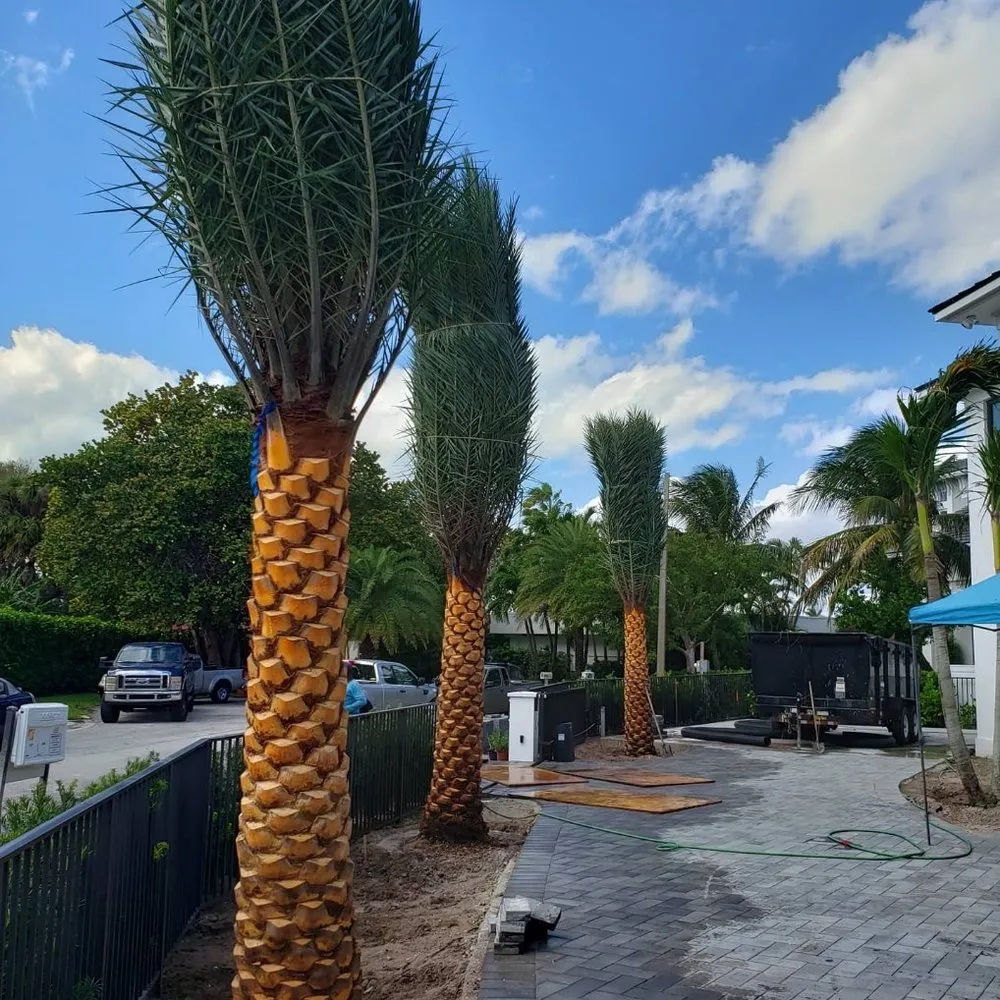 Local yard maintenance for residential properties in Cutler Bay, FL by Summers Landscaping