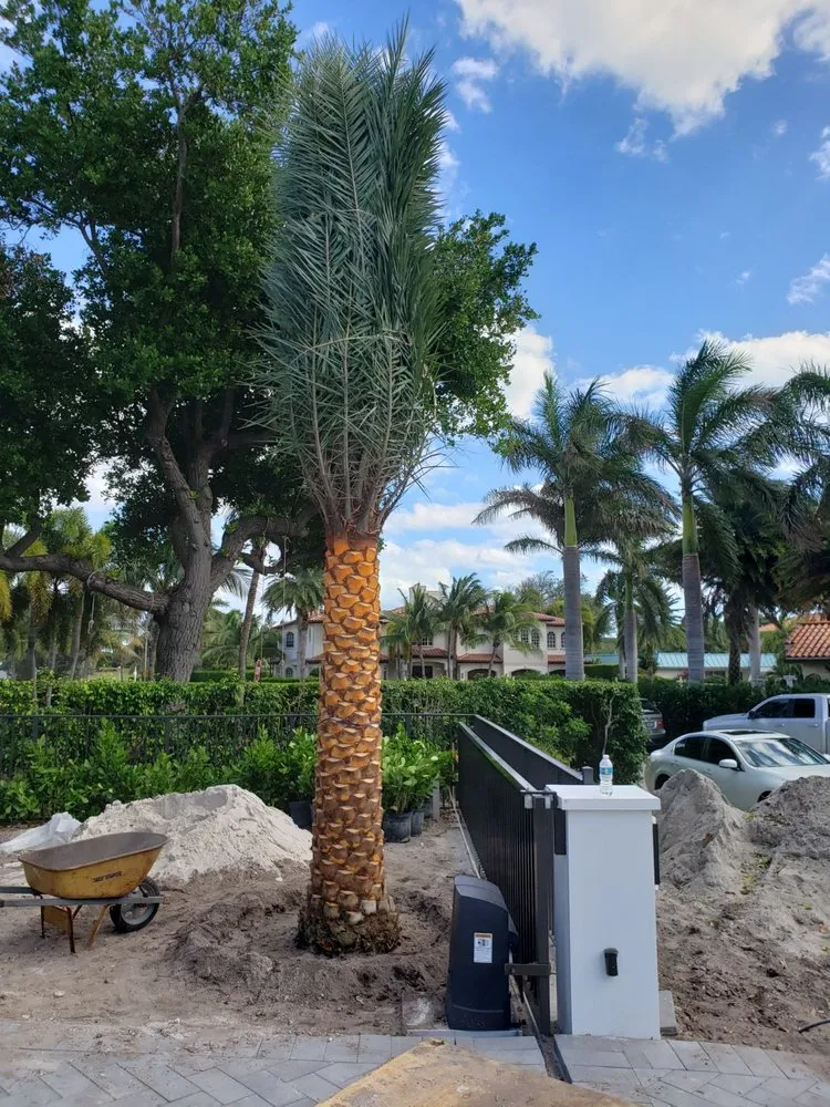 Affordable landscape installation in Cutler Bay, FL - Summers Landscaping