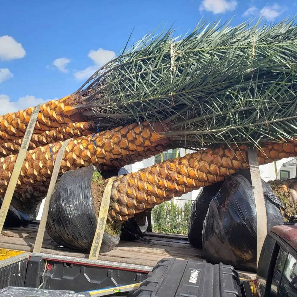 Expert outdoor landscaping in Cutler Bay, FL by Summers Landscaping