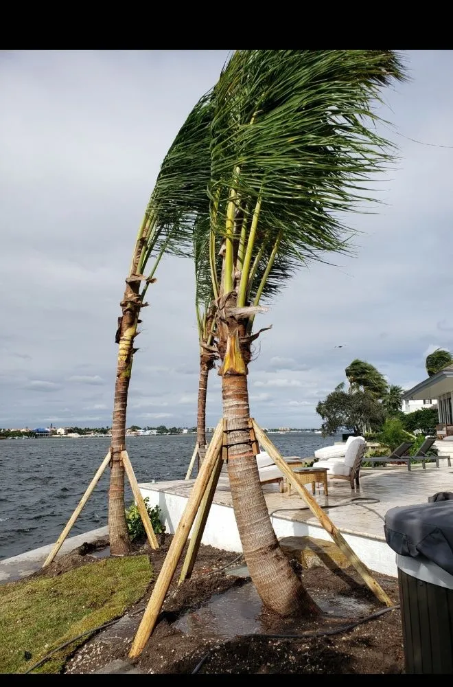 Custom garden landscaping for beautiful yards in Cutler Bay, FL by Summers Landscaping