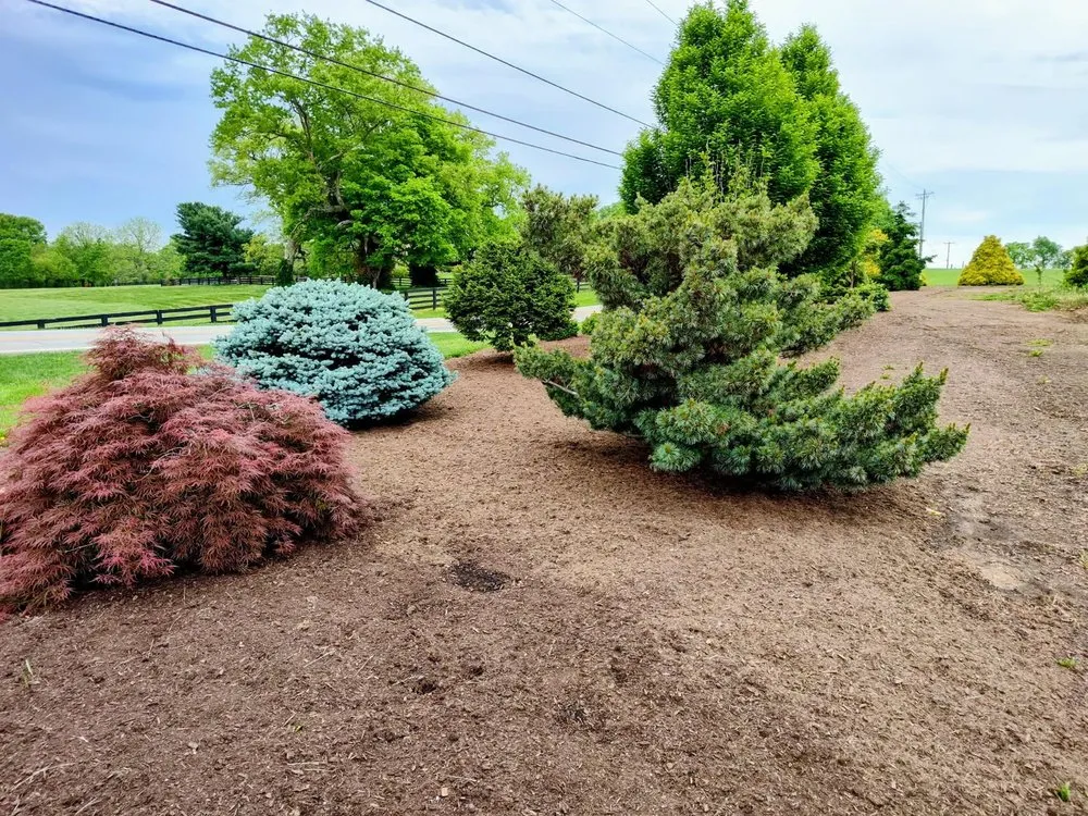 Professional lawn care service in Shelbyville, KY by Summers Nursery & Landscape