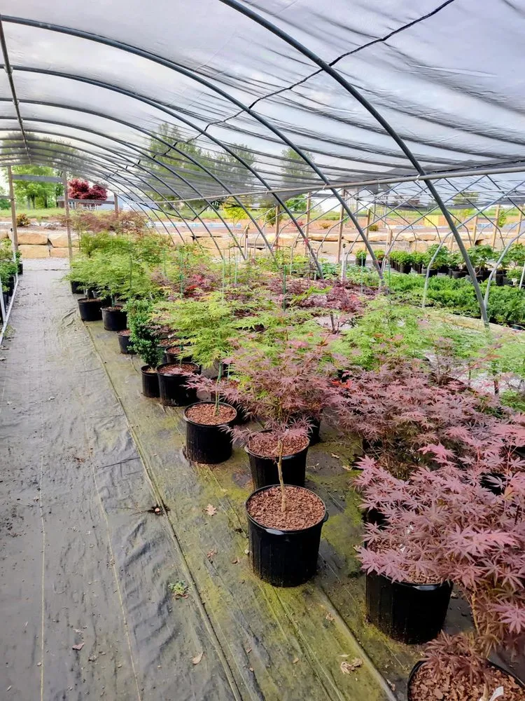 Custom residential landscaping experts serving Shelbyville, KY - Summers Nursery & Landscape