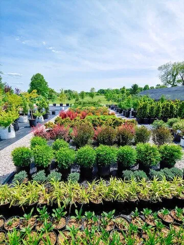 Top-rated residential landscaping in Shelbyville, KY - Summers Nursery & Landscape