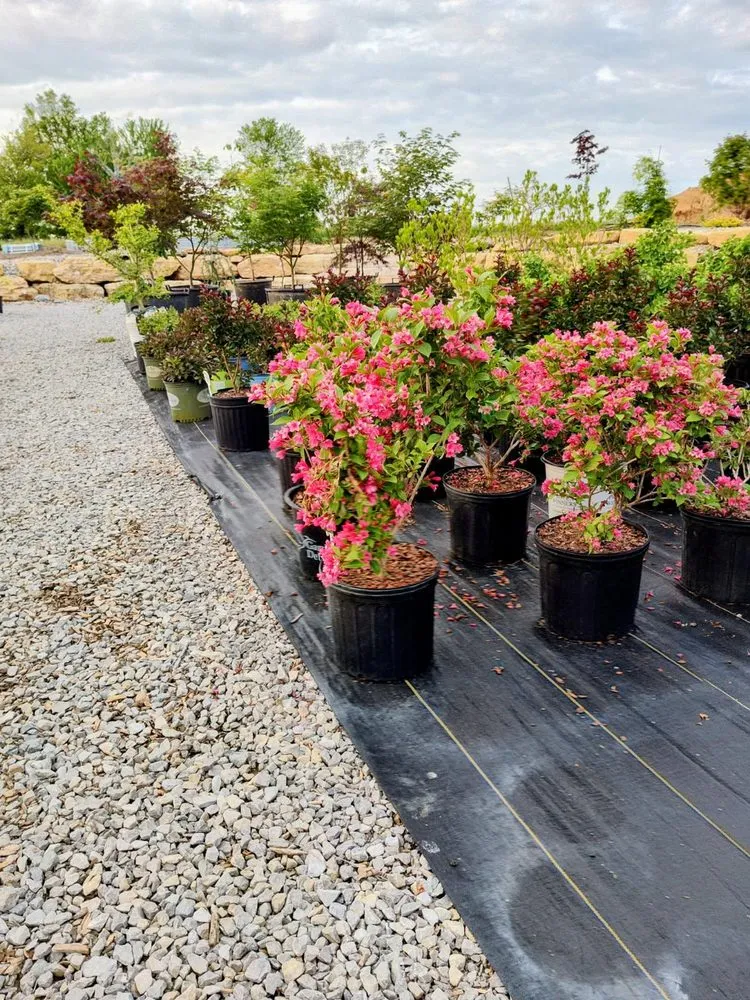 Local yard maintenance with custom design across Shelbyville, KY - Summers Nursery & Landscape