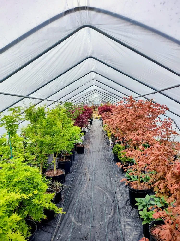 Local outdoor landscaping near you in Shelbyville, KY by Summers Nursery & Landscape