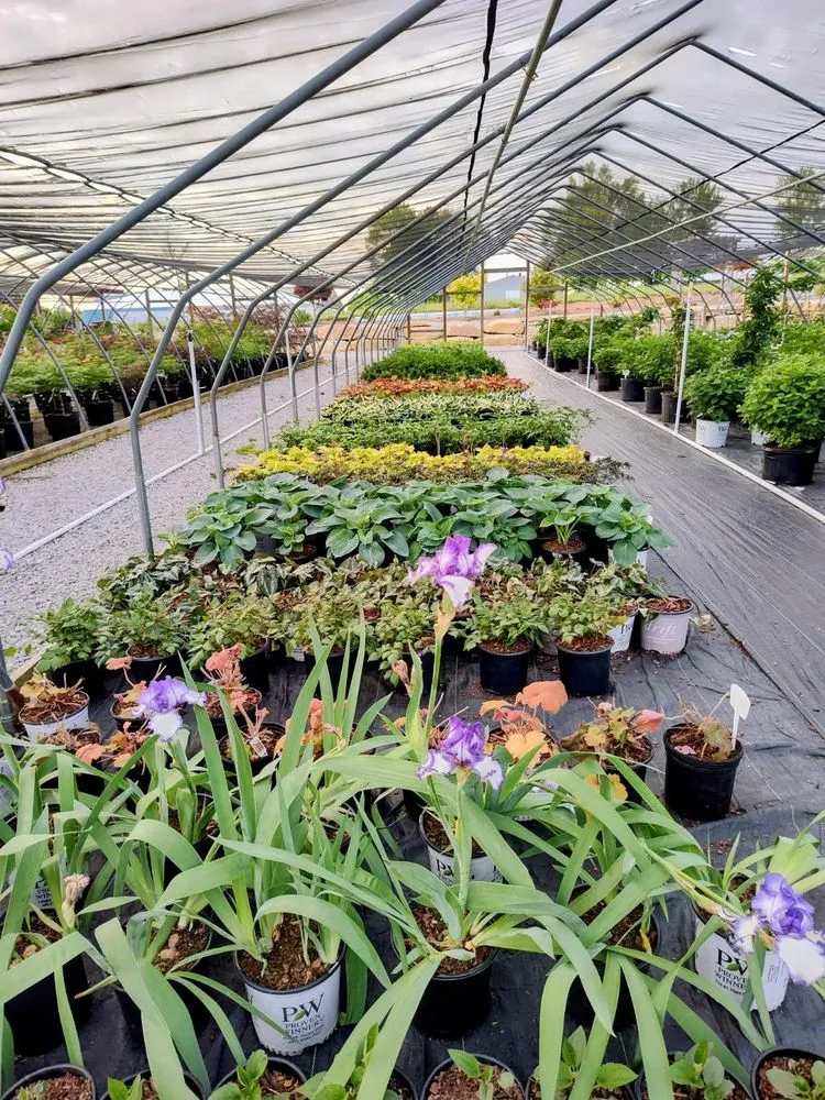 Trusted landscape design experts serving Shelbyville, KY - Summers Nursery & Landscape