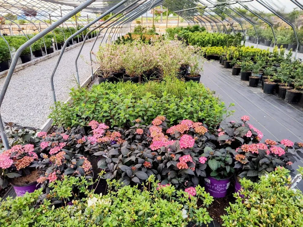 Top-rated landscape design experts serving Shelbyville, KY - Summers Nursery & Landscape