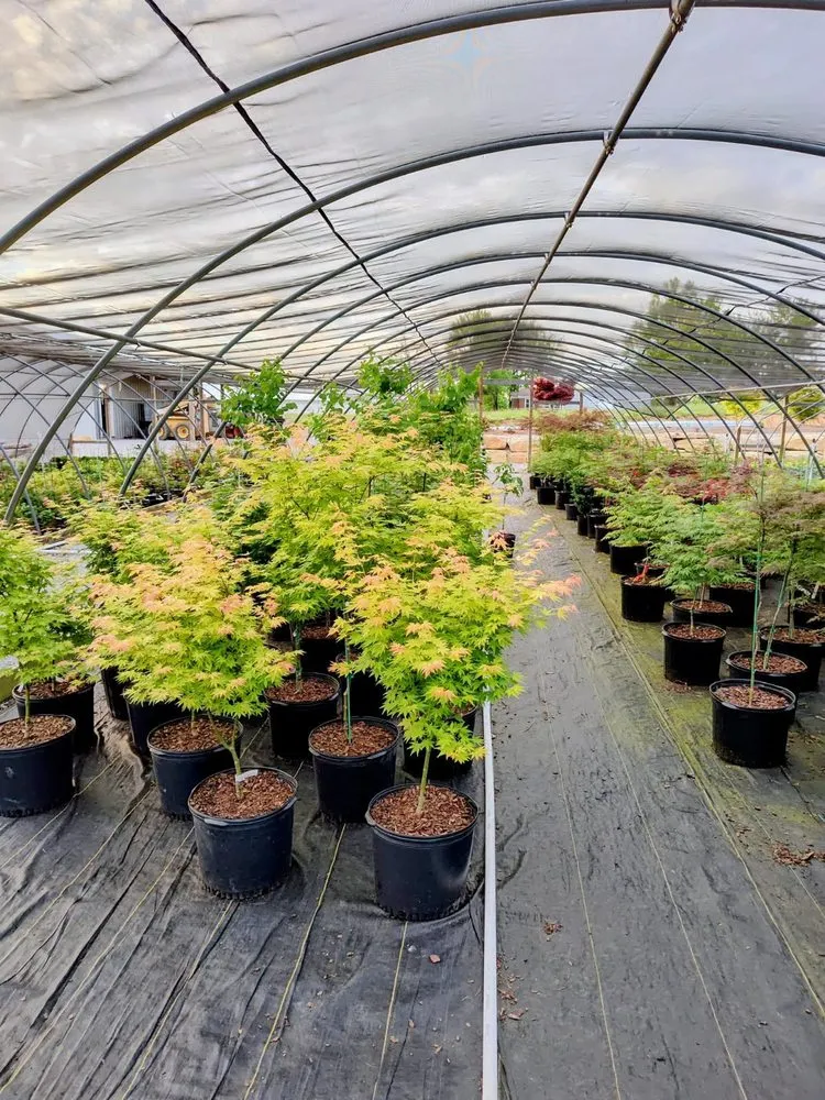 Custom landscape design experts serving Shelbyville, KY - Summers Nursery & Landscape