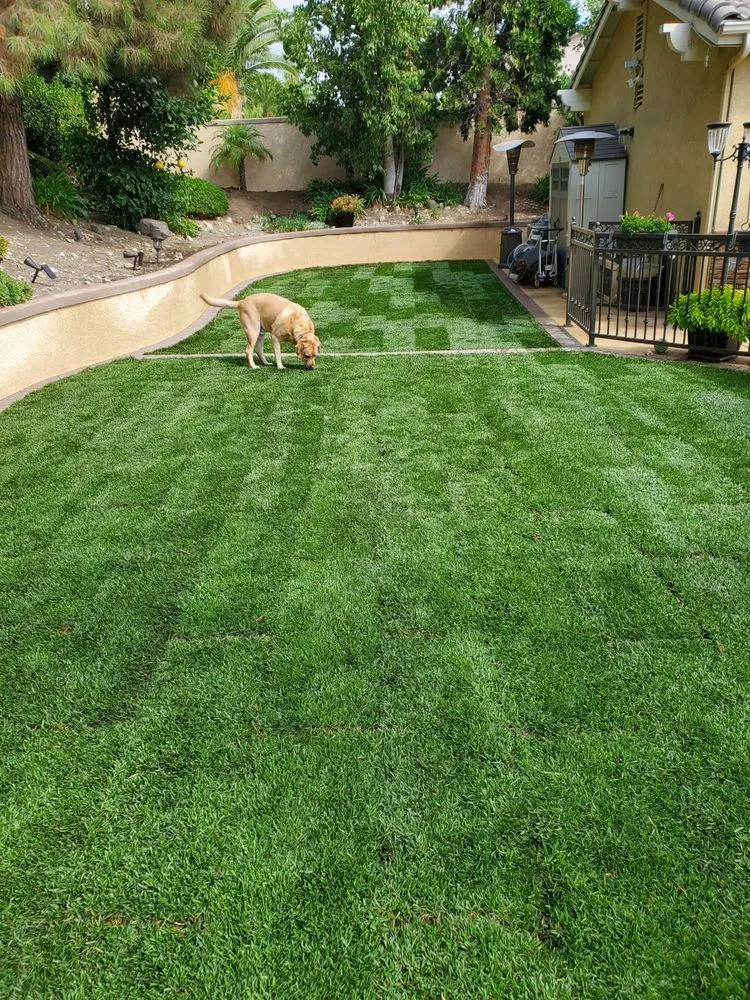 Custom landscaping services in Alta Loma, CA - Summerset Landscaping