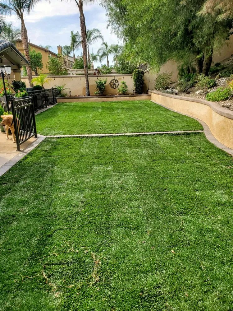Local residential landscaping for homes in Alta Loma, CA by Summerset Landscaping