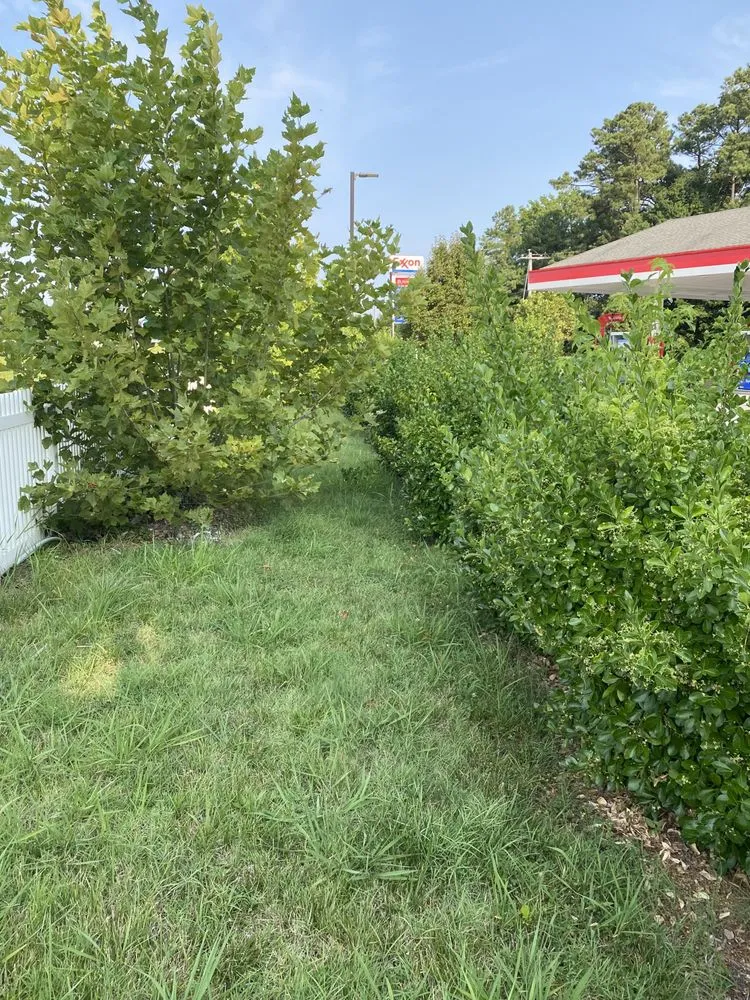 Top-rated garden landscaping experts serving Denton, MD - Summertime Lawn Care