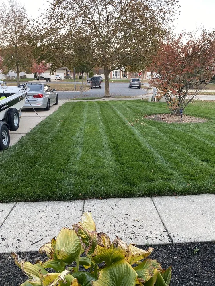 Reliable outdoor landscaping in Denton, MD - Summertime Lawn Care