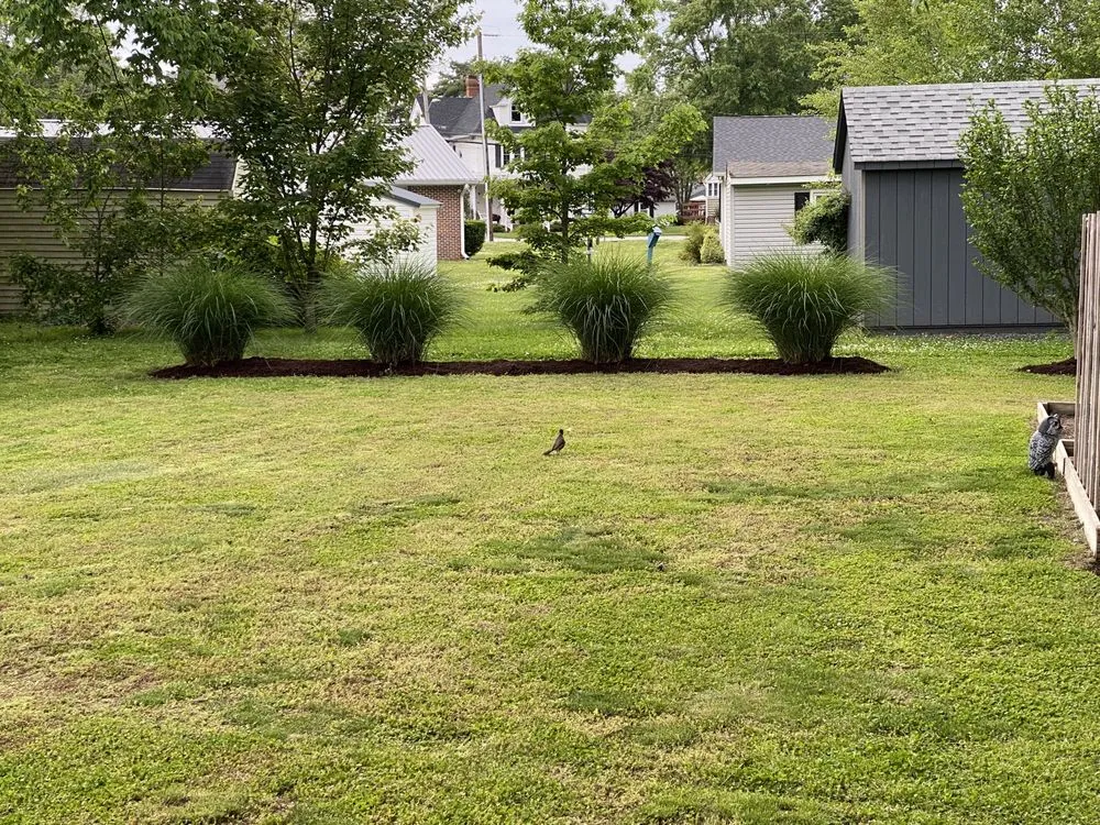 Professional landscaping services experts serving Denton, MD - Summertime Lawn Care