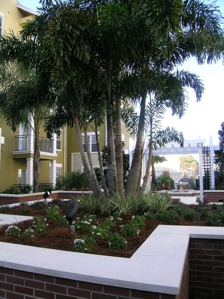 Professional lawn mowing service in Safety Harbor, FL - Summit Group