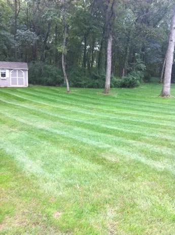 Trusted yard cleanup service for residential properties in Cheshire, CT by Summit Hill Landscaping, LLC