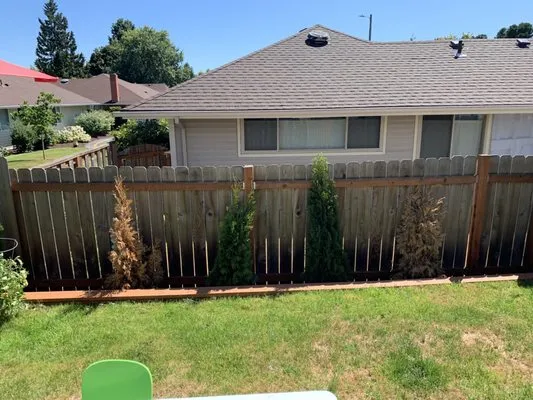 Summit Landscape & Lawn Service LLC