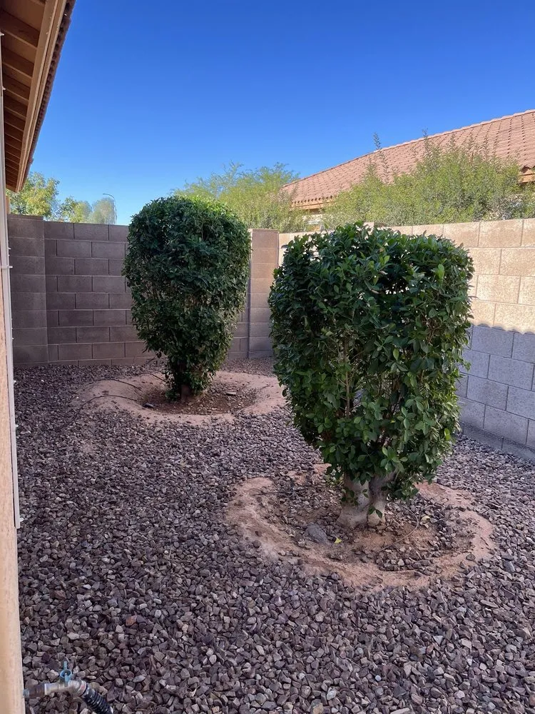 Affordable lawn care service for homes in Mesa, AZ by Summit Landscape Group