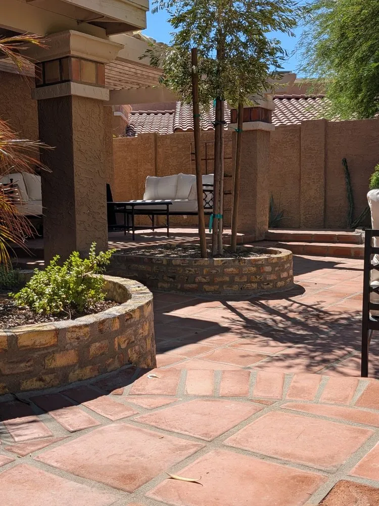 Top-rated lawn care service for year-round maintenance in Mesa, AZ by Summit Landscape Group