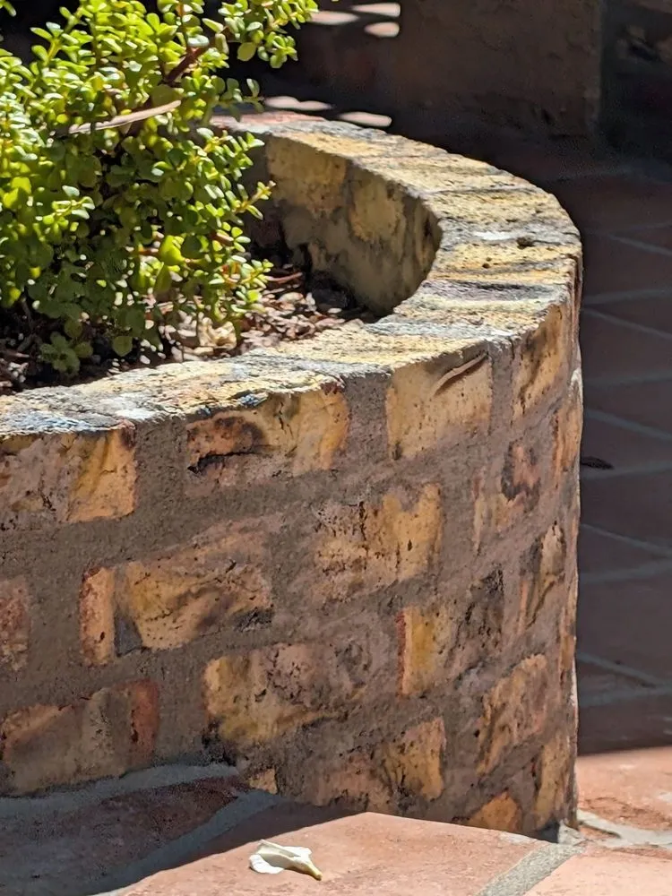 Affordable landscape installation in Mesa, AZ - Summit Landscape Group