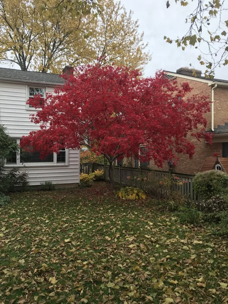 Custom landscaping services experts serving Marne, MI - Summit Landscape Management