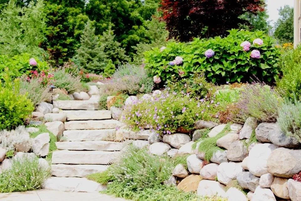 Professional lawn care service experts serving Marne, MI - Summit Landscape Management