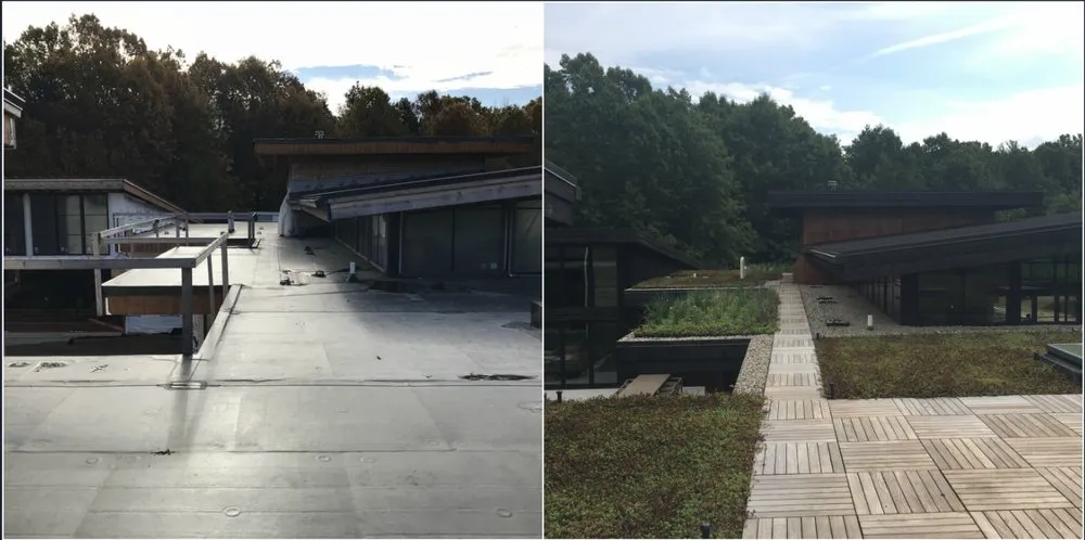 Top-rated outdoor landscaping experts serving Marne, MI - Summit Landscape Management