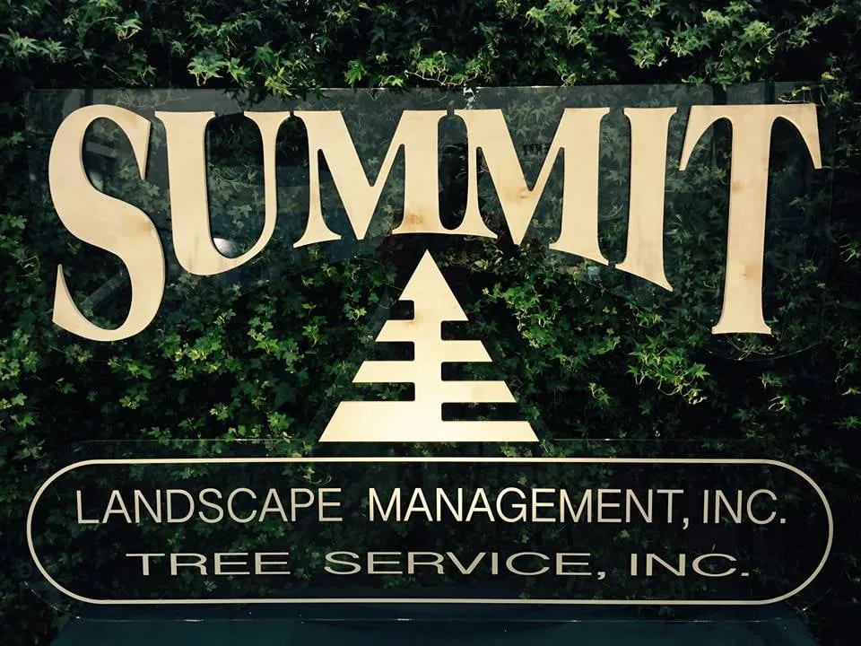 Trusted landscape installation in Marne, MI - Summit Landscape Management