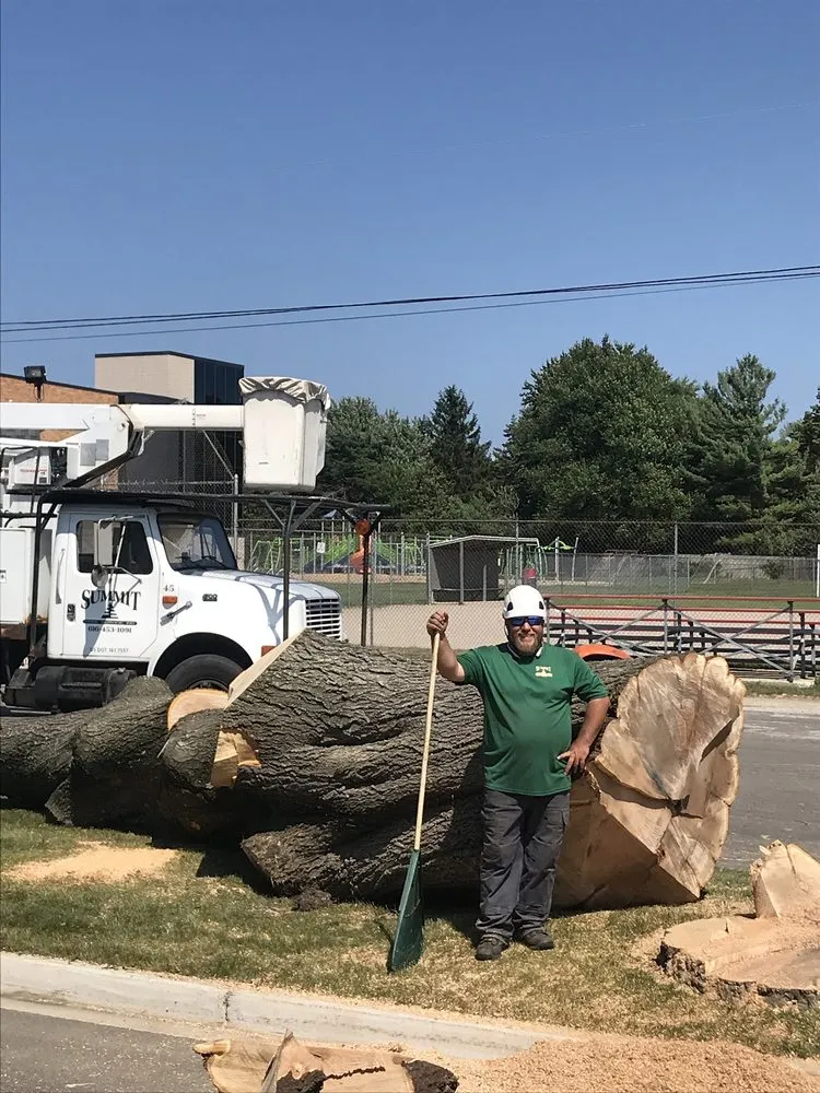 Trusted landscape installation for year-round maintenance across Marne, MI - Summit Landscape Management