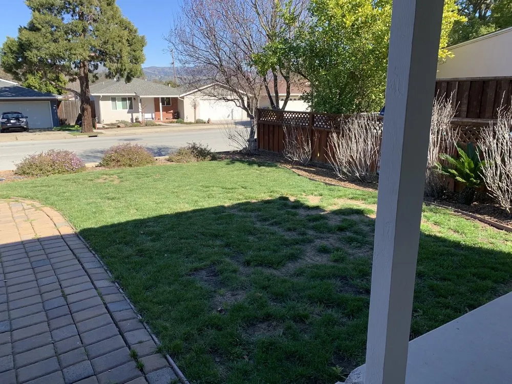 Affordable landscape design for year-round maintenance in Santa Cruz, CA by Summit Landscape