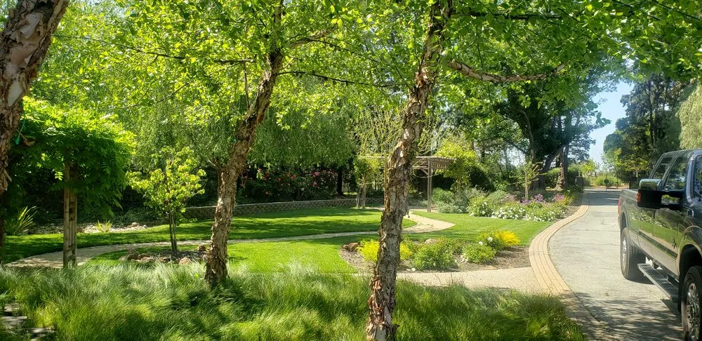 Affordable yard maintenance for outdoor upgrades across Santa Cruz, CA - Summit Landscape