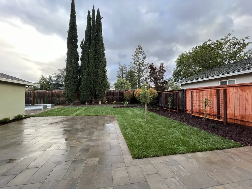 Expert yard cleanup service experts serving Santa Cruz, CA - Summit Landscape